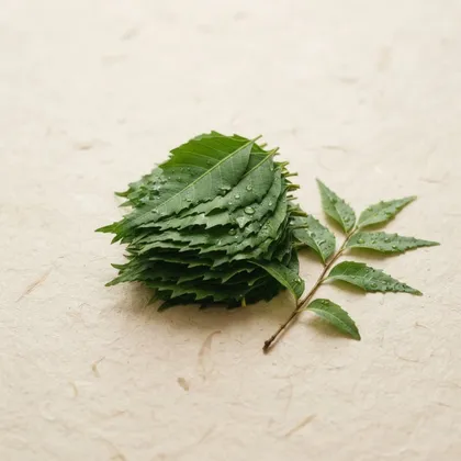 Neem, componente declarado de D-Norm
